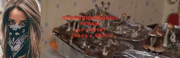 jwh Абаза