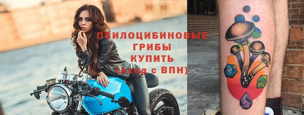 jwh Абаза