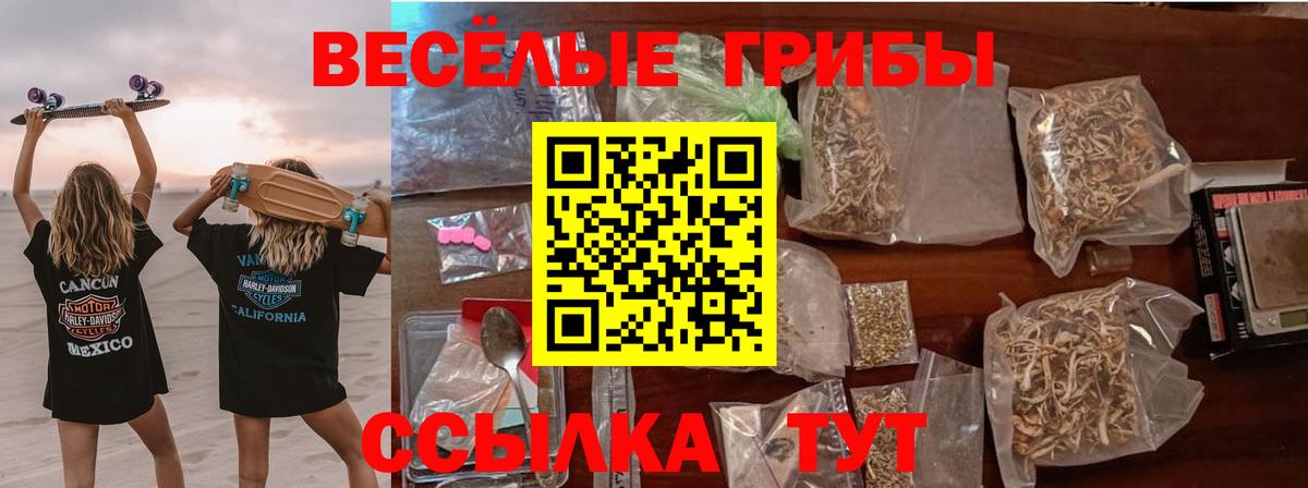 Галлюциногенные грибы Cubensis Шарыпово