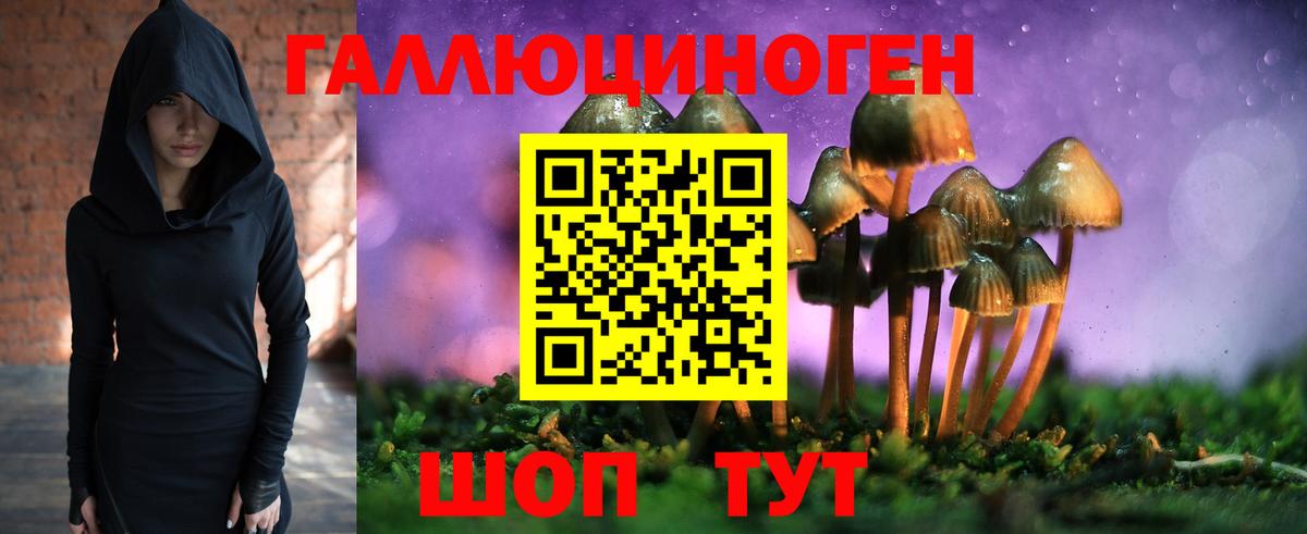 Псилоцибиновые грибы Cubensis  Вход с VPN  Шарыпово 